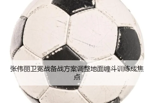 张伟丽卫冕战备战方案调整地面缠斗训练成焦点 | www.hth.comapp